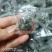 绞股蓝茶用龙珠绞股蓝包邮发货七叶绞股蓝可常年供