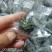 绞股蓝茶用龙珠绞股蓝包邮发货七叶绞股蓝可常年供