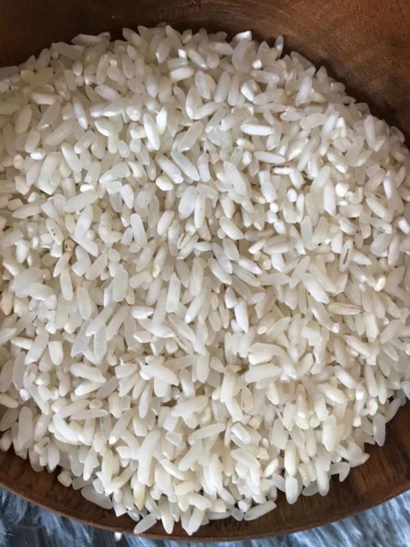 2-3年本地早米饭堂米肠粉米粉专用老早米梗米陈米源地走货