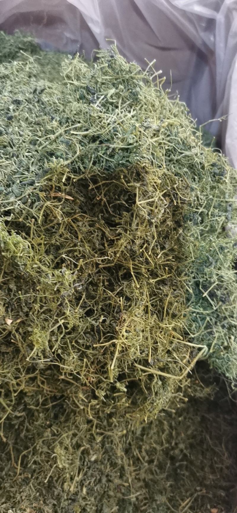绞股蓝茶用龙珠绞股蓝包邮发货七叶绞股蓝可常年供