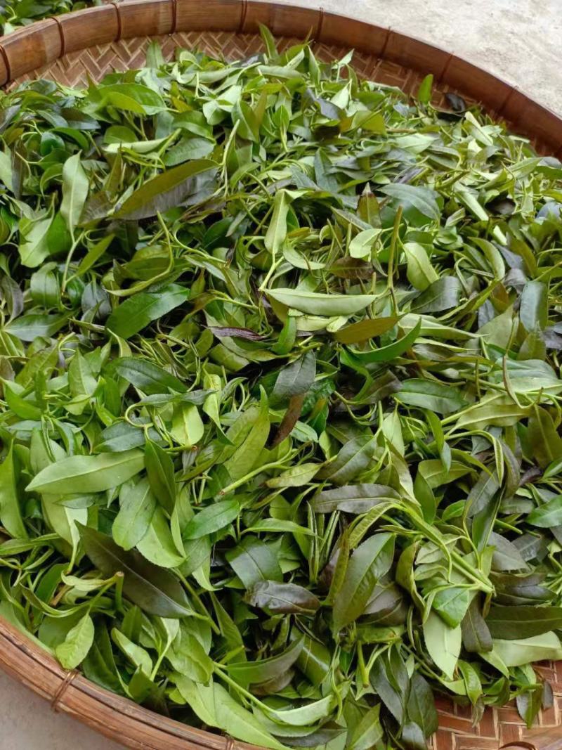 英德石花茶，仙人茶，纯手工制作