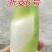 茭白苗早熟双季茭白苗茭瓜种苗高瓜苗茭笋苗茭白苗子