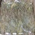 见血清云南干货见血清