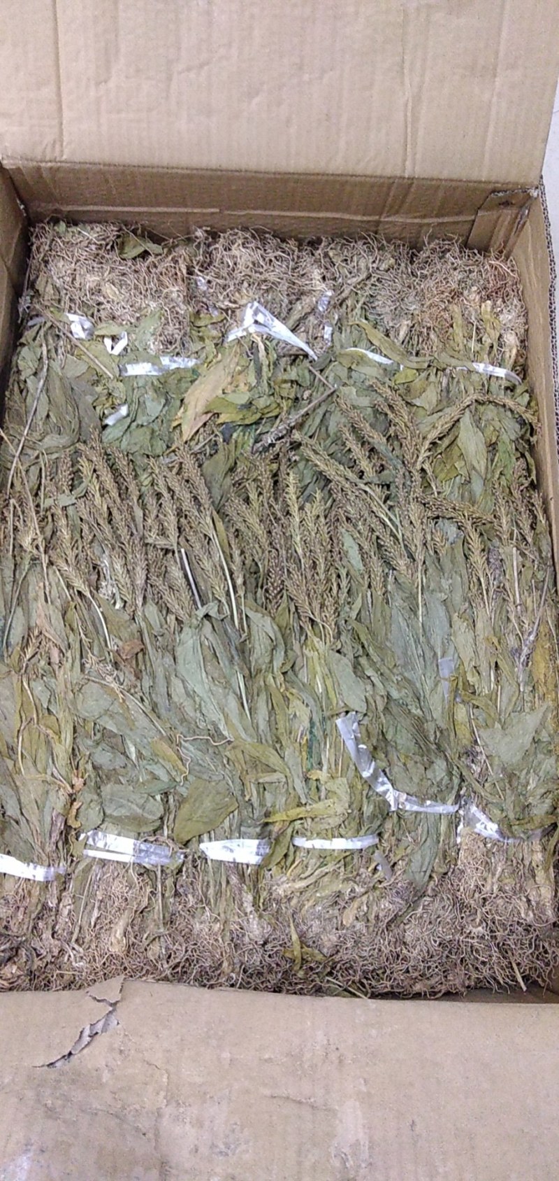 见血清云南干货见血清