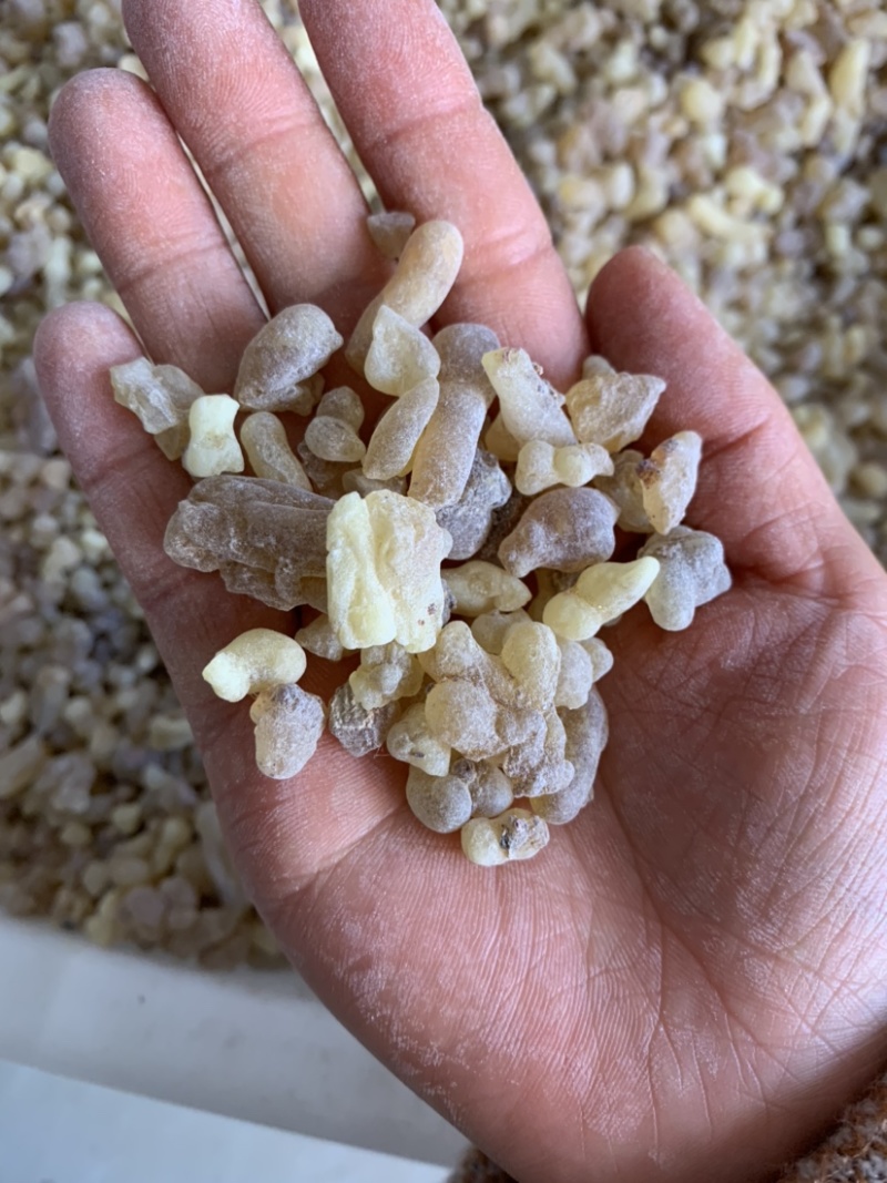 乳香乳香珠无硫无添加量大从优1公斤起批
