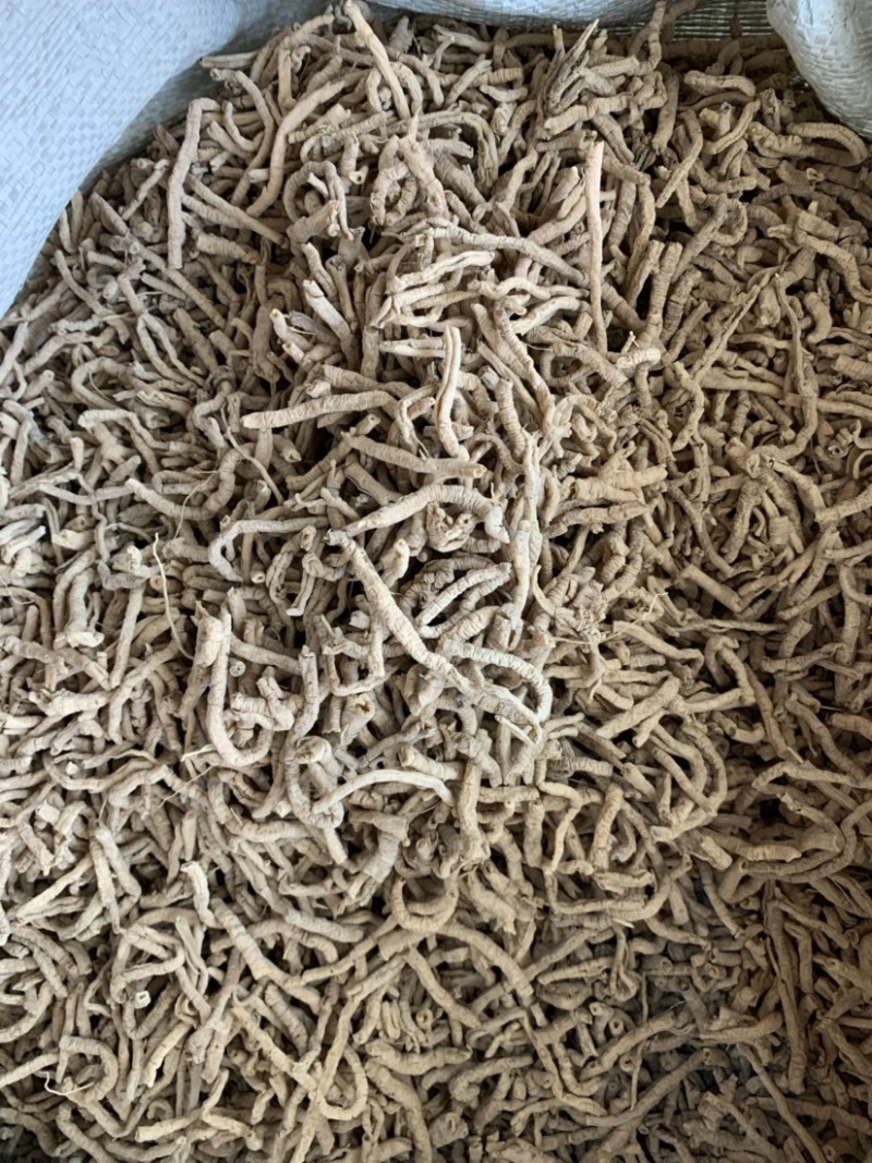 远志无硫无添加各种规格量大从优1公斤起批