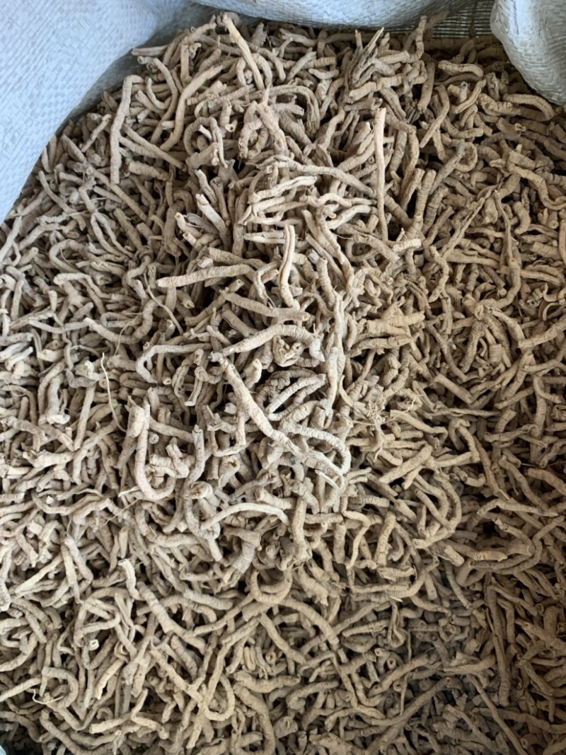 远志无硫无添加各种规格量大从优1公斤起批