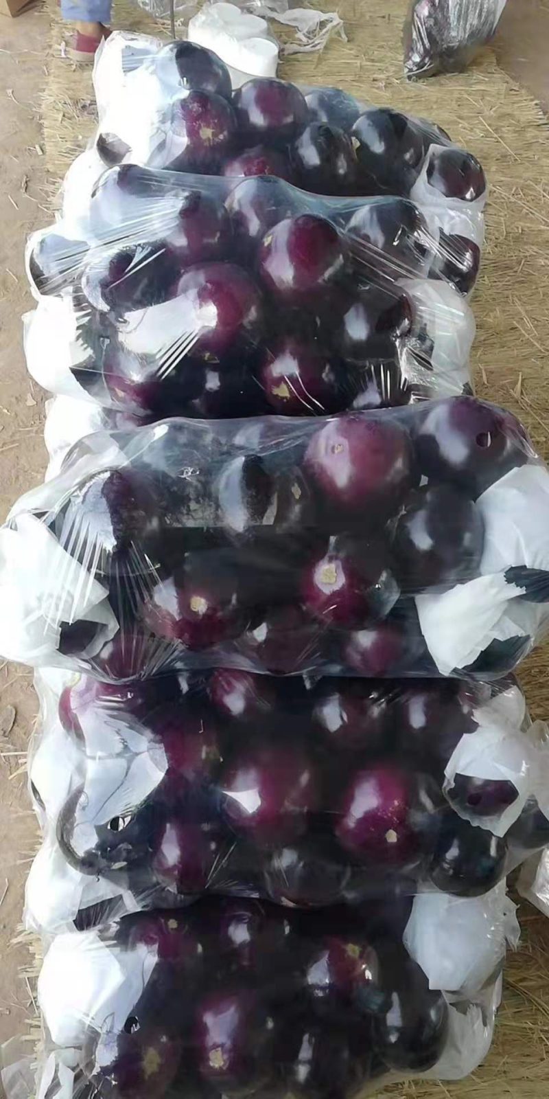 紫光圆茄，大量上市，代发全国，欢迎选购可对接商超量大从优