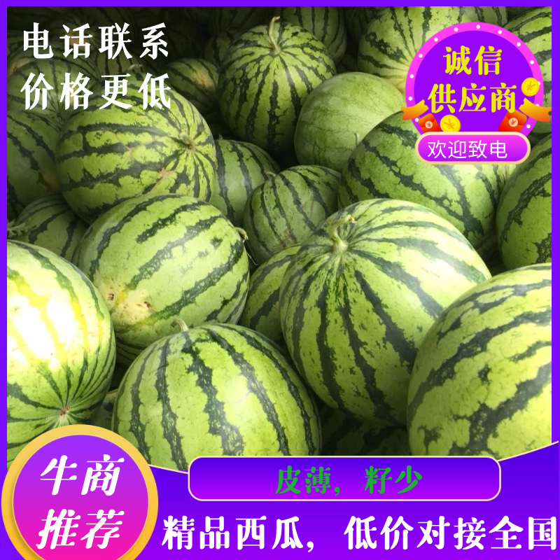 西瓜：8424西瓜量大优惠，电话联系价格更低，全国发售
