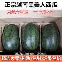 西瓜大量供应湖北黑美人西瓜，低价对接全国诚信合作