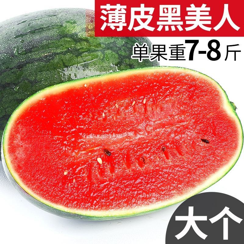 西瓜大量供应湖北黑美人西瓜，低价对接全国诚信合作
