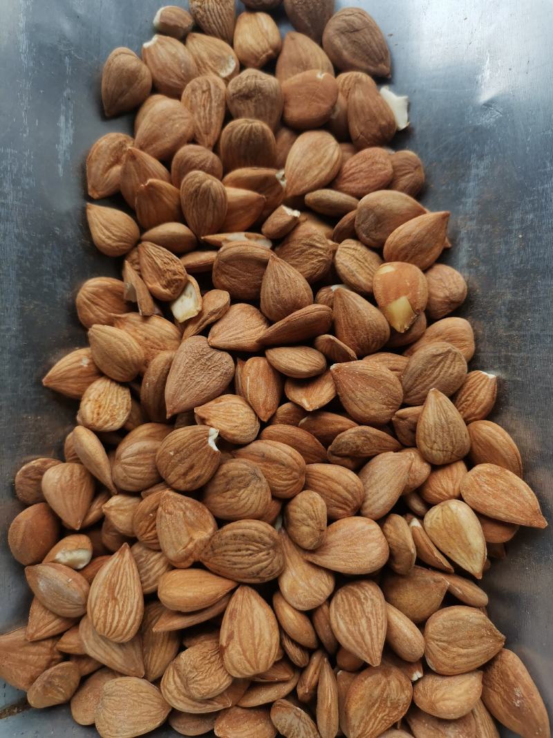 中药材甜杏仁食用级别干净无杂包邮到家