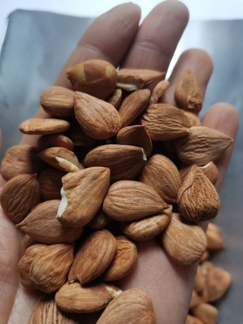 中药材甜杏仁食用级别干净无杂包邮到家