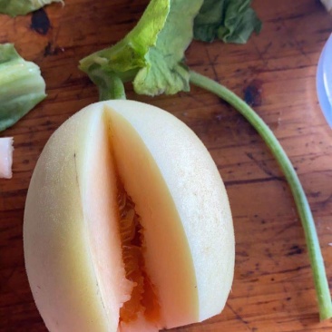 台州正宗东方蜜量大从优