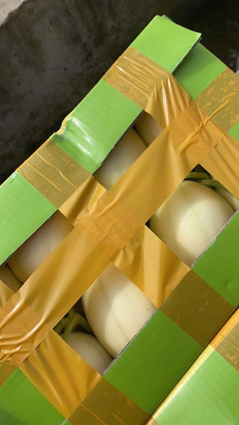 台州正宗东方蜜量大从优