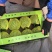 江苏盐城东台特小凤小兰黄瓤瓜