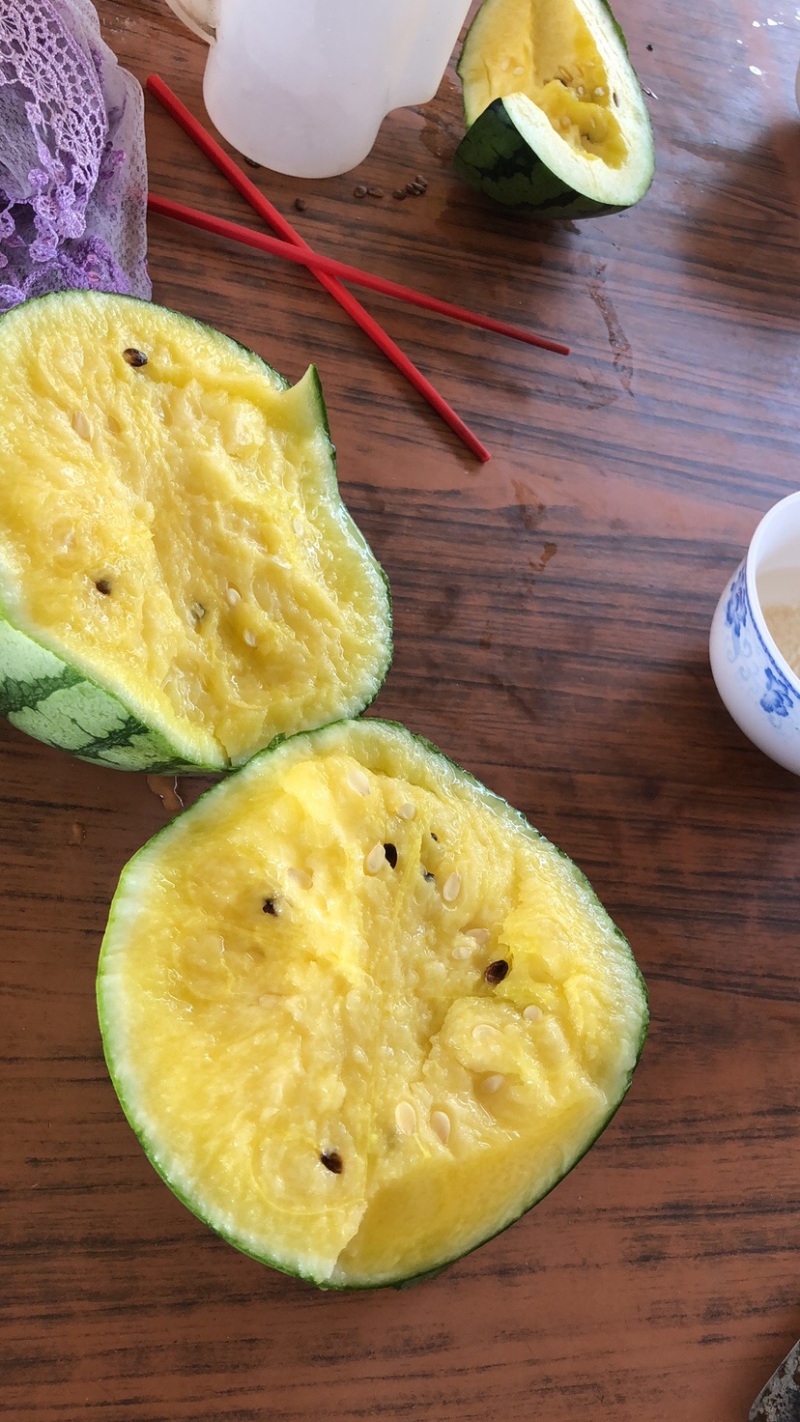 江苏盐城东台特小凤小兰黄瓤瓜