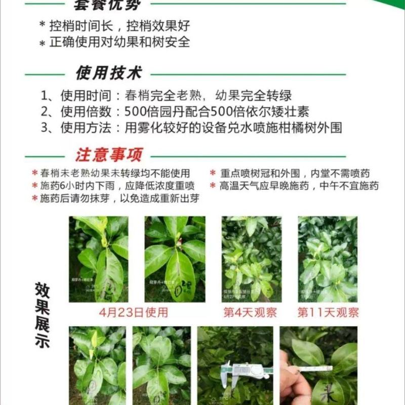 抑芽丹烟草烟叶烤烟药材沙糖桔控捎涂抹打顶封梢专用抑芽剂