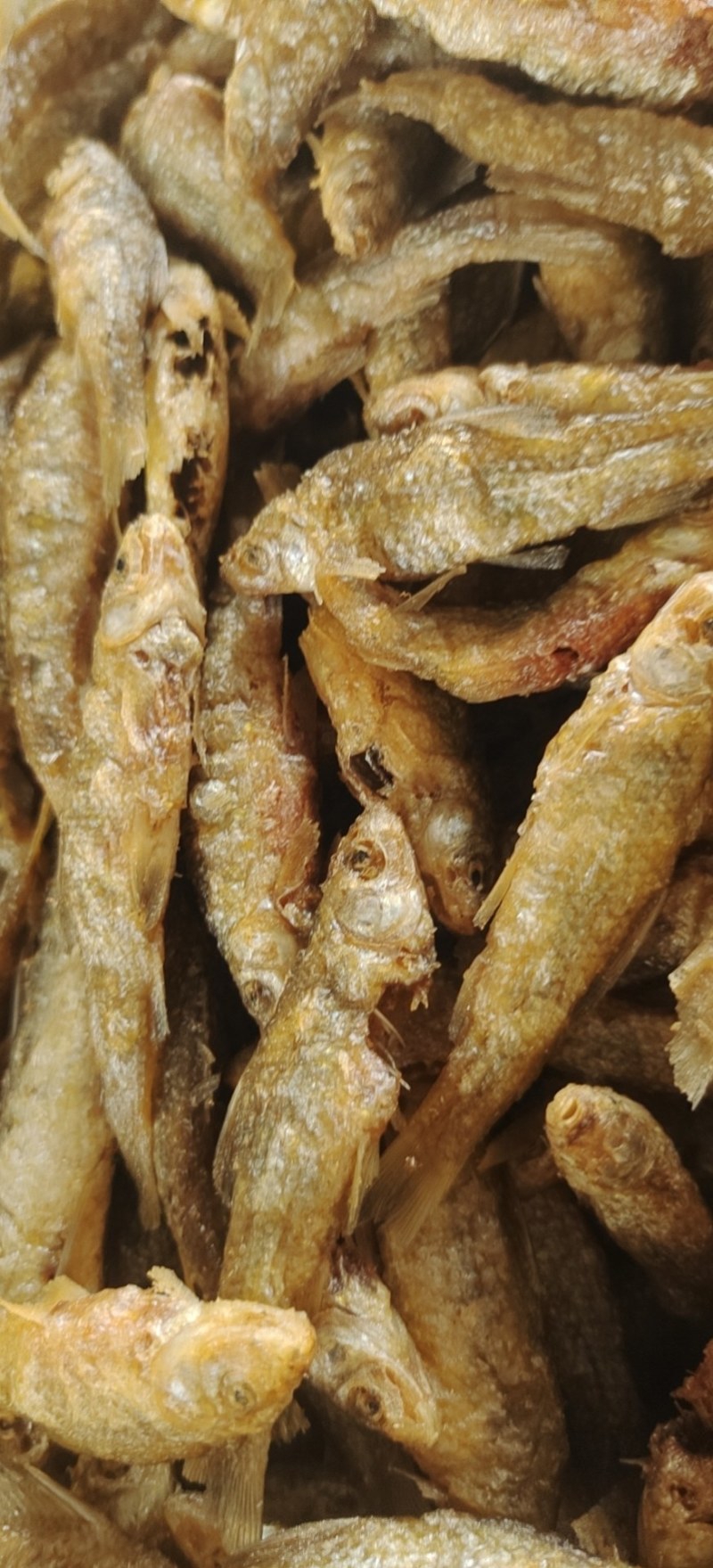 油炸麦穗鱼，仁子鱼，