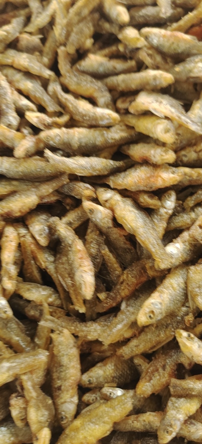油炸麦穗鱼，仁子鱼，