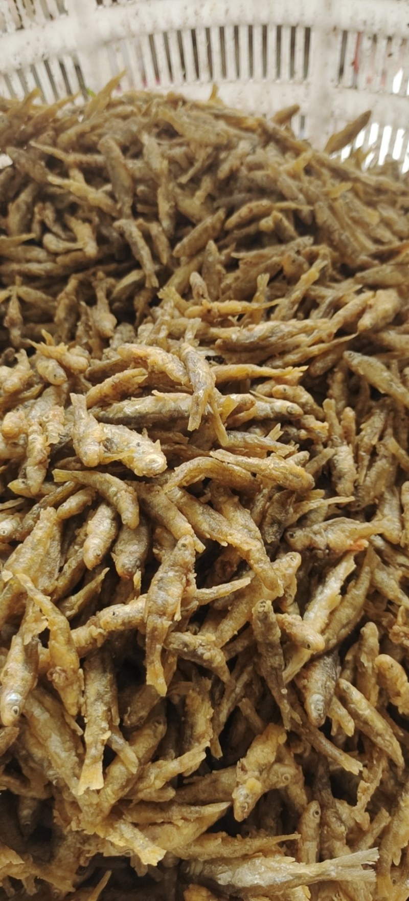 油炸麦穗鱼，仁子鱼，