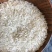 源厂新米批发丰良优大米25kg软香新米商超食米餐饮大米