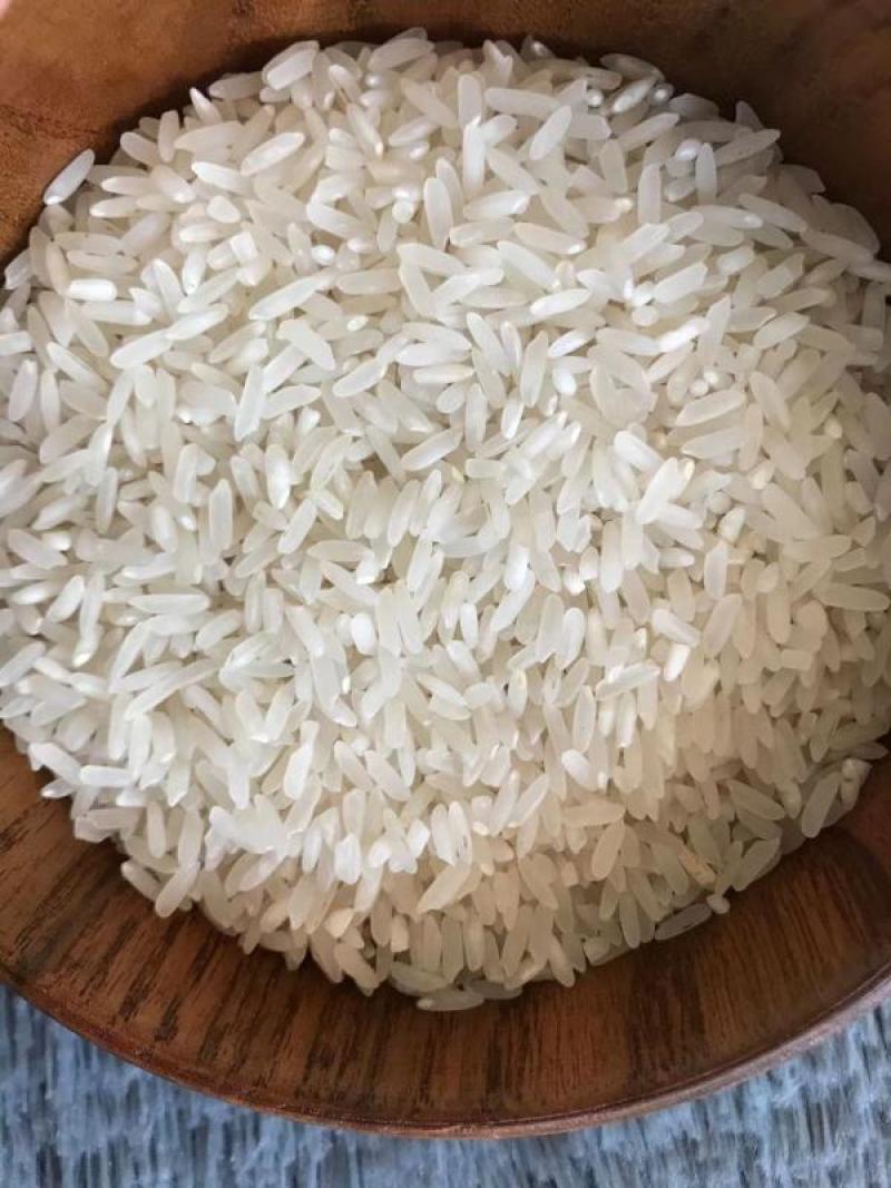 源厂新米批发丰良优大米25kg软香新米商超食米餐饮大米