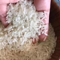 源厂新米批发丰良优大米25kg软香新米商超食米餐饮大米