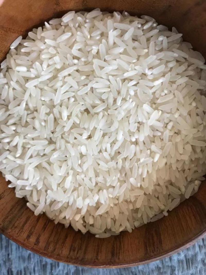 源厂新米批发丰良优大米25kg软香新米商超食米餐饮大米