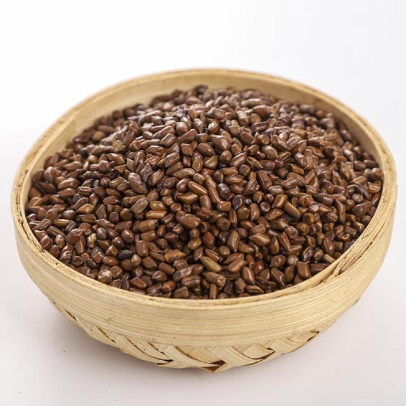 宁夏炒决明子优选药用质保当天发货袋装
