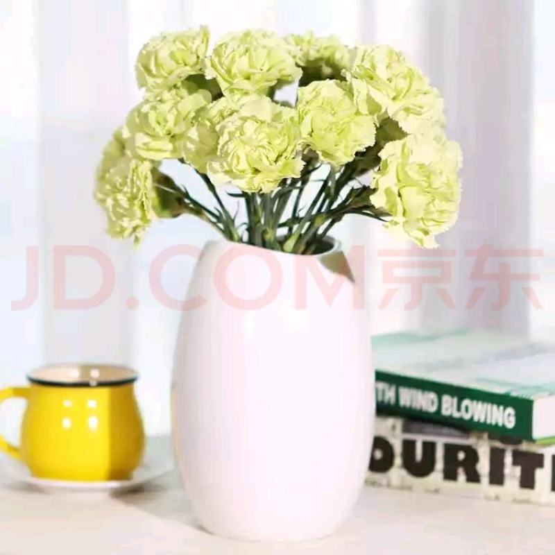 粉佳人康乃馨粉康鲜切花教师节母亲节38节送母亲教师长辈