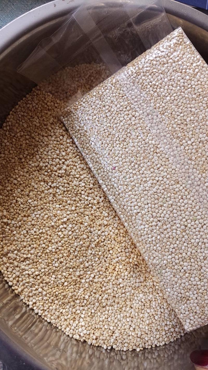 青海精选白藜麦，颗粒大，货量足，支持贴牌一件代发