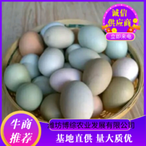 【热销】山鸡蛋，土鸡蛋，产于青州山区，量大，质量保证
