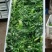 速冻菠菜，联系我时，请说是在一亩田看到的