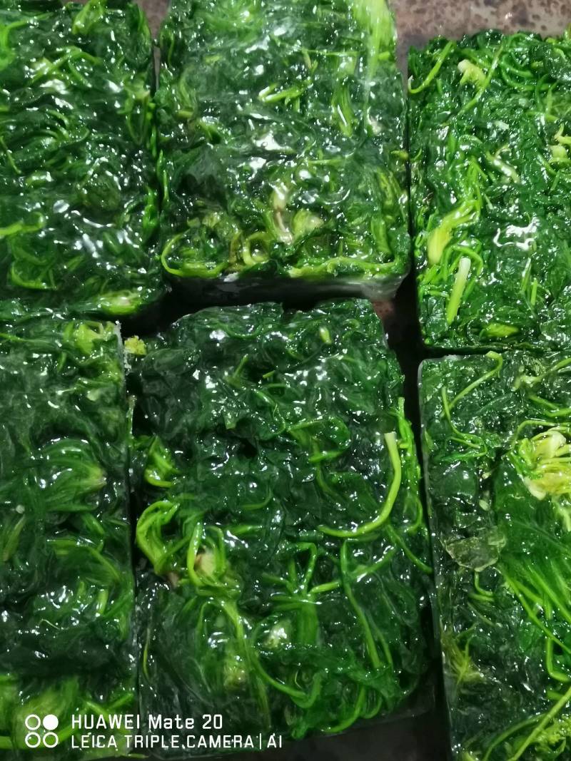 速冻菠菜，联系我时，请说是在一亩田看到的