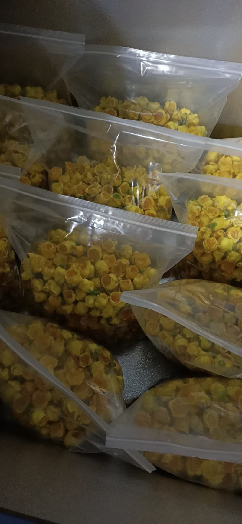 广西防普金花茶冻干花