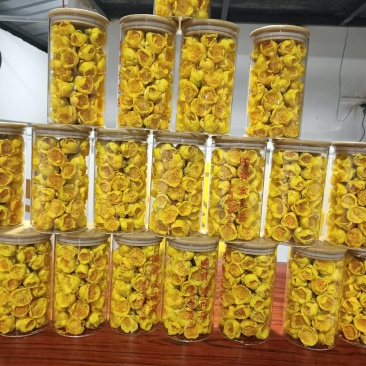 广西防普金花茶冻干花