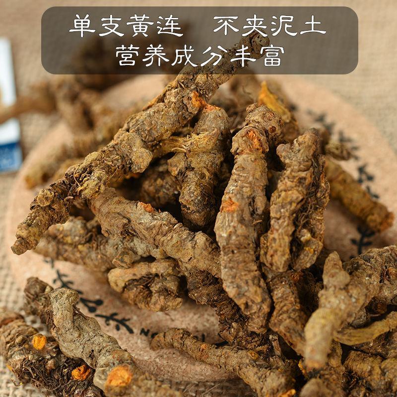 黄莲川黄连雅莲质量优产地销货代抓各种营养药方