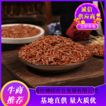 【热销】青州红米杂粮各种组合基地直供量大质优欢迎致电