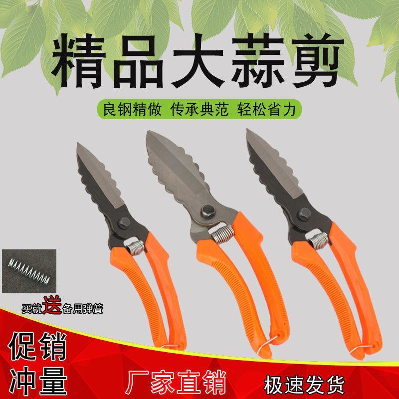 蒜剪剪蒜剪刀蒜剪刀大蒜剪剪蒜头根茎农具剪刀厂家直销包邮