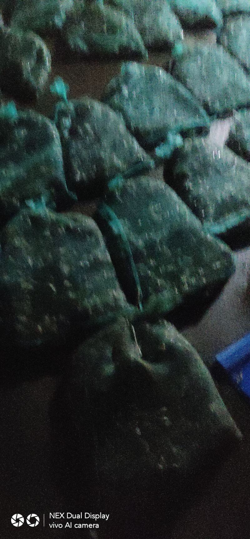 青蛙，黑斑蛙，潜江美食。。。。。。。。。。