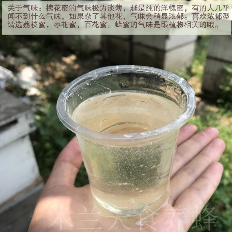 农家自产自销土蜂蜜，洋槐蜜，枣蜜等各种蜂蜜