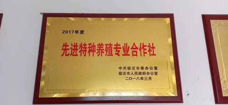 养殖水箱，专业订做各种规格养殖水，10块每平方！包运费！