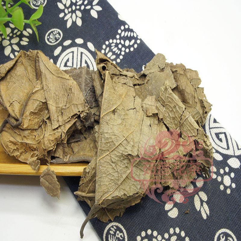 杜仲叶杜仲叶子冷背品种欢迎下单不满意可以退换货