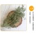 鹅不食草冷背药材产地直发货好不满意可以退换货