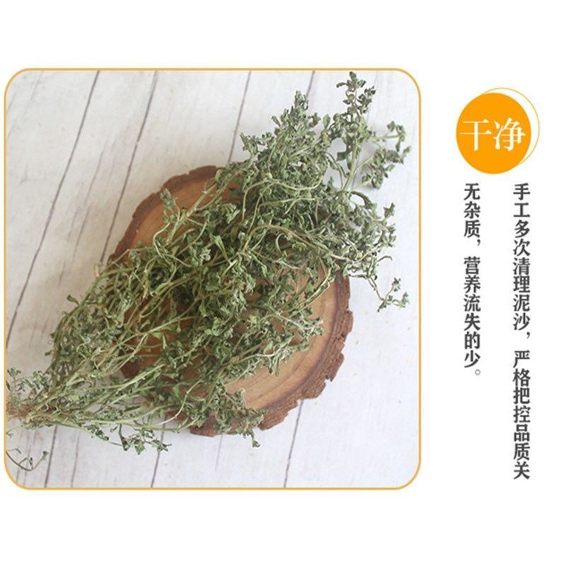 鹅不食草冷背药材产地直发货好不满意可以退换货