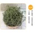 鹅不食草冷背药材产地直发货好不满意可以退换货