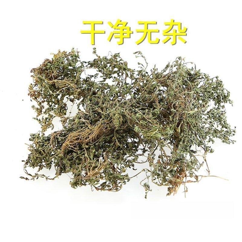 鹅不食草冷背药材产地直发货好不满意可以退换货