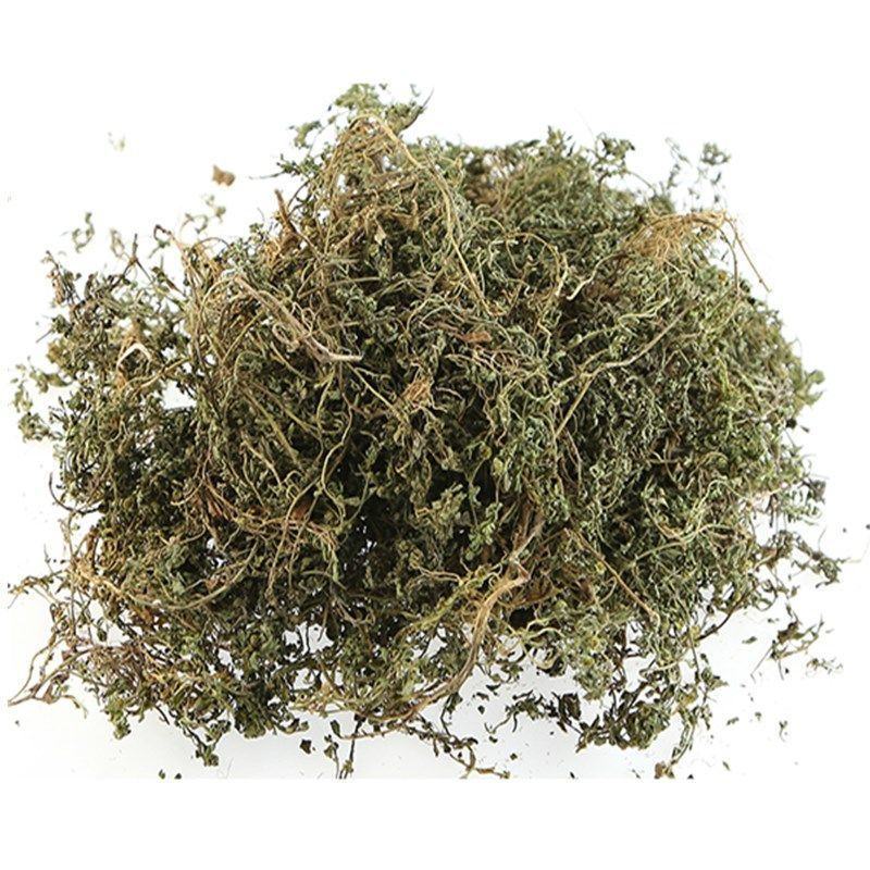 鹅不食草冷背药材产地直发货好不满意可以退换货