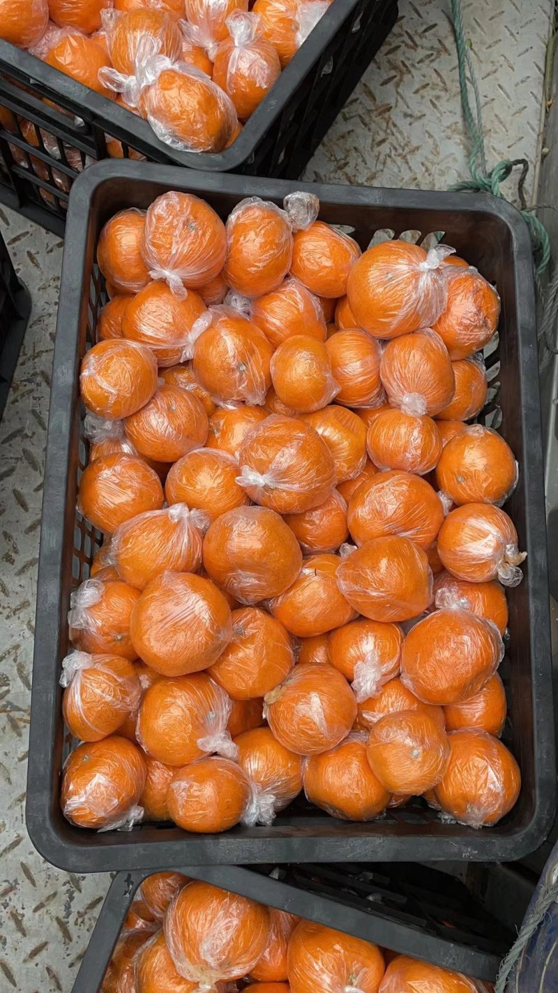 湘西高山碰柑口感纯甜皮毛干净